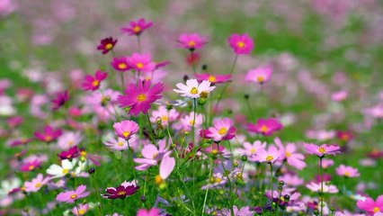 বাংলা চটি গল্প।।#গল্প 05