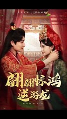 Into The Dragon's Rage Multi Sub S - Full Movie