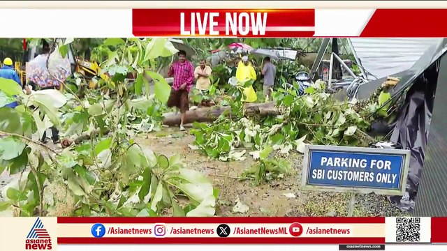 ഇടുക്കിയിൽ ശക്തമായ കാറ്റും മഴയും; മരക്കൊമ്പ് ഒടിഞ്ഞ് വീണ് തൊഴിലാളിയ്ക്ക് ദാരുണാന്ത്യം