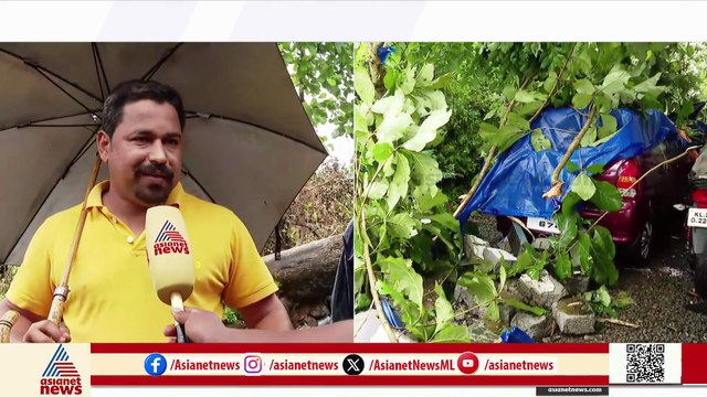 'മരം വരുന്നതായി തോന്നിയപ്പോൾ എഴുന്നേറ്റു മാറി, ഉടൻ മരം വന്ന് വീണു'; റാന്നിയിൽ മിന്നൽ ചുഴലി