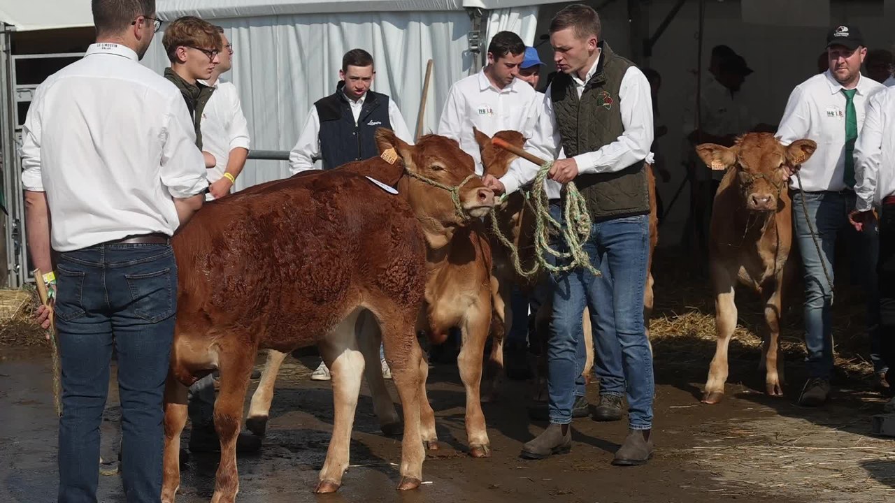 La foire agricole a ouvert ses portes à Libramont !