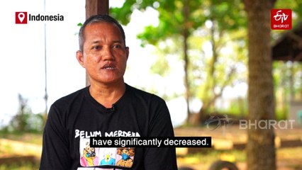 'Lungs Of The Earth': The Indonesians Fighting For Peatland