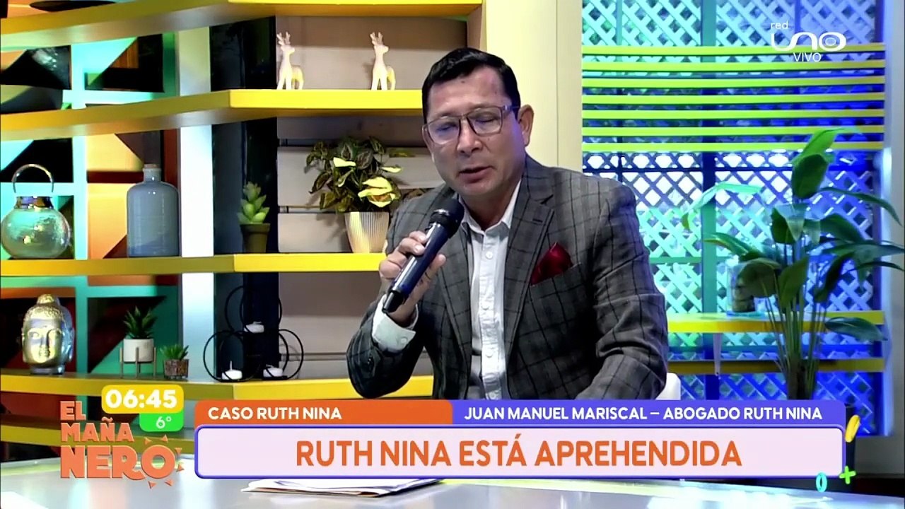 “Avanzó cinco pasos, ¡cinco pasos!, y la detuvieron”, declaró el abogado de Ruth Nina