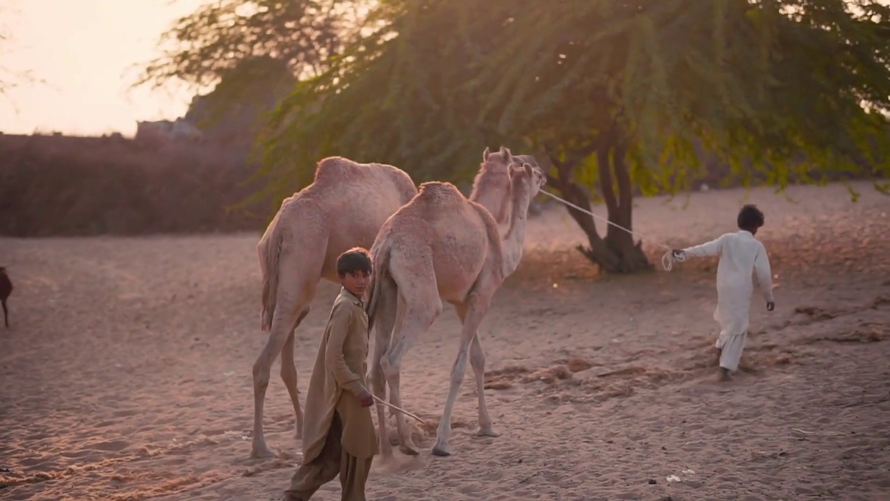 Children in Crisis sostiene l?istruzione per i bambini in difficolt?