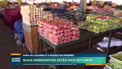 Sopa de legumes: quais ingredientes estão mais em conta