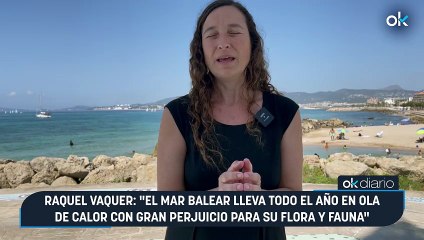 Raquel Vaquer: "El mar balear lleva todo el año en ola de calor con gran perjuicio para su flora y fauna"