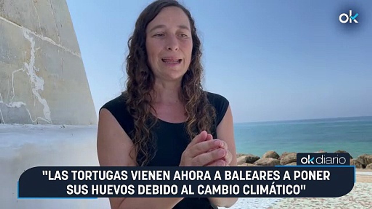 Raquel Vaquer: "Las tortugas vienen ahora a Baleares a poner sus huevos debido al cambio climático"