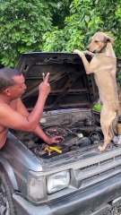 Engine Mechanic || Fun to lot