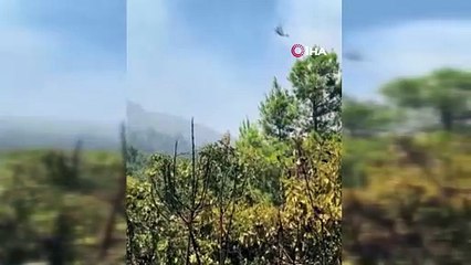 Antalya’da yerleşim yerlerini tehdit eden orman yangınında bazı evler tahliye edildi