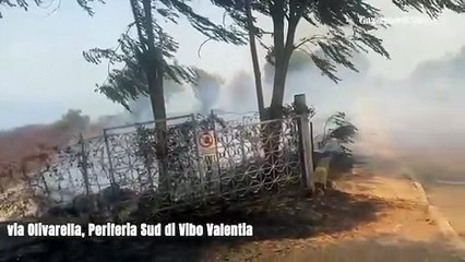 Incendi Vibo Valentia