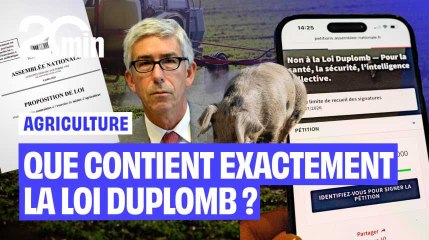 Que contient exactement la loi Duplomb ?