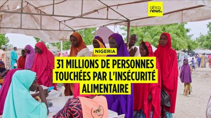 Nigeria : des millions de personnes touchées par l'insécurité alimentaire