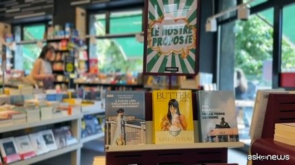 Estate 2025, consigli di lettura del Libraccio: da Chatwin a Queneau