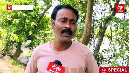 জলাভূমিতে প্রাথমিক বিদ্যালয়, সরকারি অর্থ অপচয় ! অস্বাস্থ্যকর-টিনের চালে চলছে পঠনপাঠন