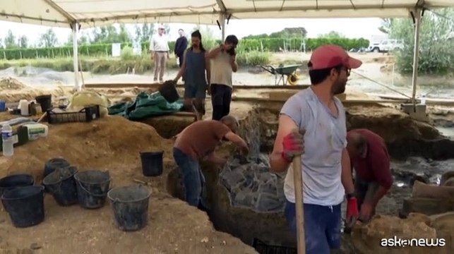 Francia, lo scheletro di un dinosauro gigante apre a nuove scoperte