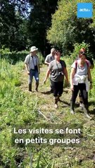 Découverte du Sentier de l'Osmonde dans le marais Vernier avec la fédération de chasse 27