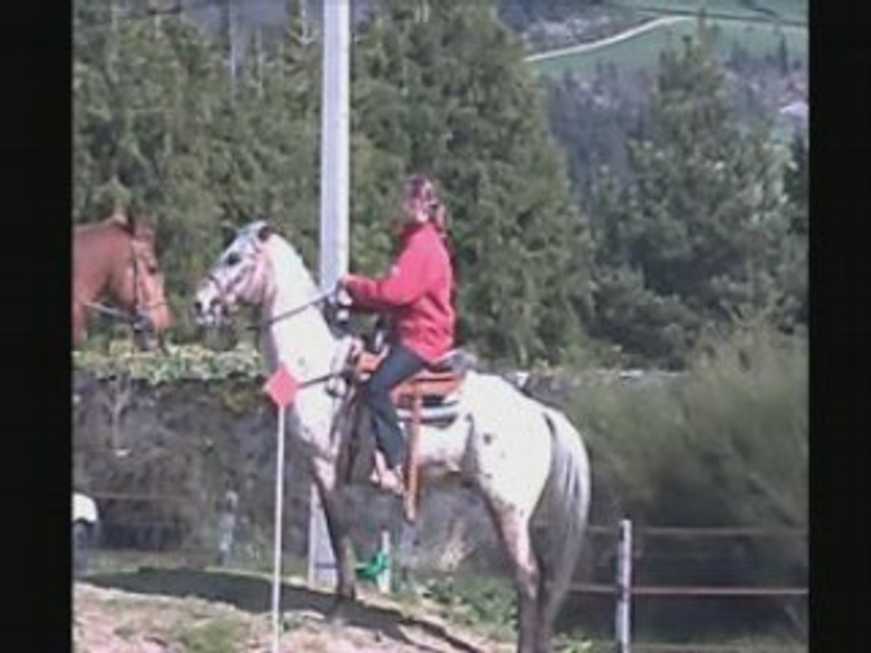 Trec