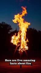 5 Mind-Blowing Fire Facts You Never Knew! 🔥 (Plasma, Blue Flames & More)