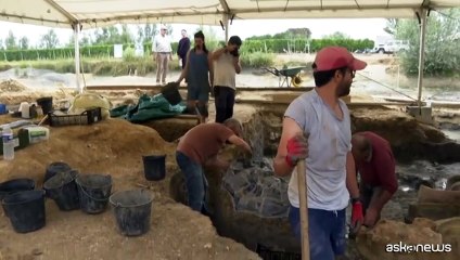 Francia, lo scheletro di un dinosauro gigante apre a nuove scoperte