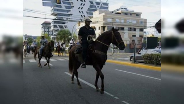 Ganaderos y empresarios denuncian ola de robos de caballos en RD