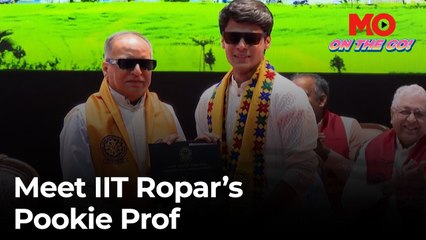 Who is the Pookie Professor? IIT Ropar Director goes viral at convocation