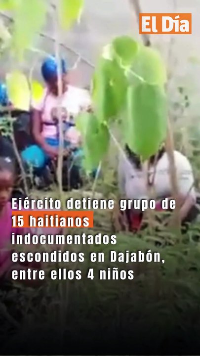 Ejército detiene grupo de 15 haitianos indocumentados escondidos en Dajabón, entre ellos 4 niños