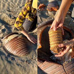 This 500-Year-Old Desert Find Holds a Crazy Secret! 🔥👀
