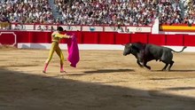 Voltereta Roca Rey Santander