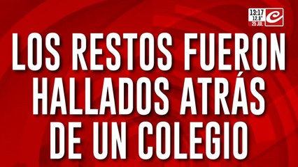 Macabro hallazgo: encontraron partes de un cuerpo descuartizado