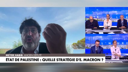 Meyer Habib estime que le jihadisme a défiguré la France
