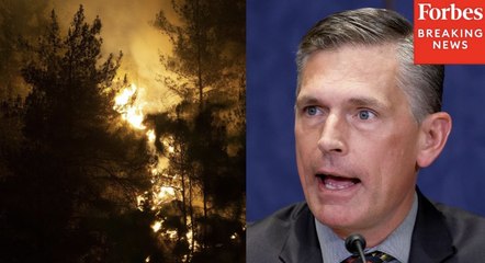 Martin Heinrich Pleads With Committee To End 'Bleeding Of Staff' At Park And Forest Services