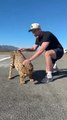 I Raced A Cheetah @MrBeast