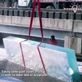 This amazing ice sculpture is a real work of art!❄️