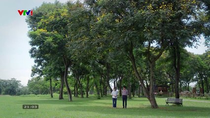 Dịu Dàng Màu Nắng Tập 40 (Tập Cuối) - Phim Truyền Hình Việt Nam VTV1 | Phim Hay