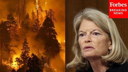 Lisa Murkowski: Forest Service Would Function 'The Way That We Would All Expect' With Full Staffing