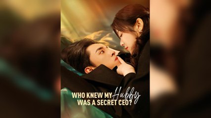 Who Knew My Hubby Was A Secret CEO?