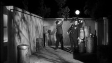 Night Owls 1930