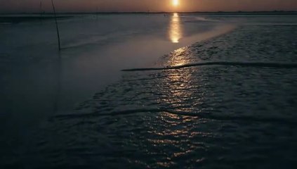 Die Toten am Meer - Der Wikinger