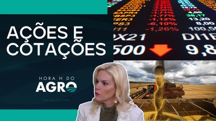 Como fazer a gestão de risco do agro e se prevenir da volatilidade do mercado | HORA H DO AGRO