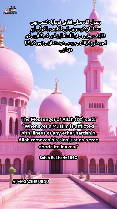 (Sahih al-Bukhari 5660)  This beautiful Hadith reminds us that every pain and illness is not just a trial — it's a means of forgiveness from Allah. Have patience and trust in His mercy.