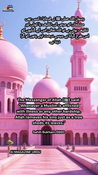 (Sahih al-Bukhari 5660) This beautiful Hadith reminds us that every pain and illness is not just a trial — it's a means of forgiveness from Allah. Have patience and trust in His mercy.