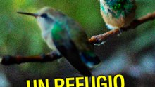 Santuario de Colibríes