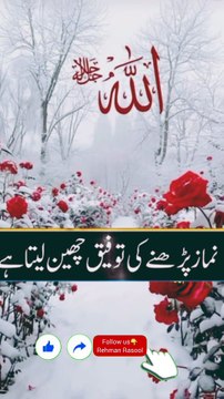 قرآن پاک کا ایک حرف پڑھنے پر دس نیکیاں لکھی جاتی ہیں ۔ قرآن مجید کو ترجمہ اور تفسیر کے ساتھ پڑھنے کی کوشش کیا کریں کیونکہ یہ قرآن دین اسلام کی بنیاد ہے ، بنیاد کی مضبوطی پورے دین اسلام کی سربلندی ہے ، قرآن مجید کی تلاوت سے اجر و ثواب کے ساتھ ساتھ دینی شع