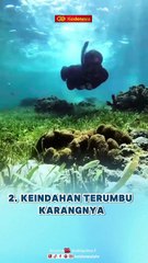 5 Fakta Menarik Pulau Panambungan, Surga Kecil di Sulawesi Selatan