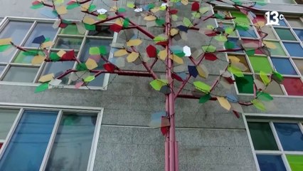 City Tour - Capítulo 21, Temporada 2025 (24/07/2025)