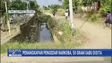 Pengedar Narkoba di Luwu Kabur ke Sawah saat Ditangkap, 50 Gram Sabu Disita | SAPA PAGI