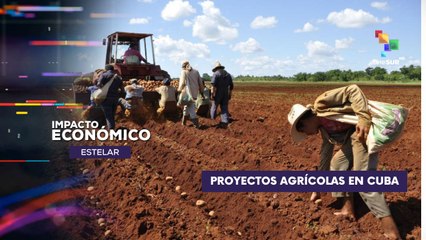 Miguel Díaz-Canel, retomó este jueves sus recorridos por el país  IMPACTO ECONÓMICO ESTELAR 25-07-2025