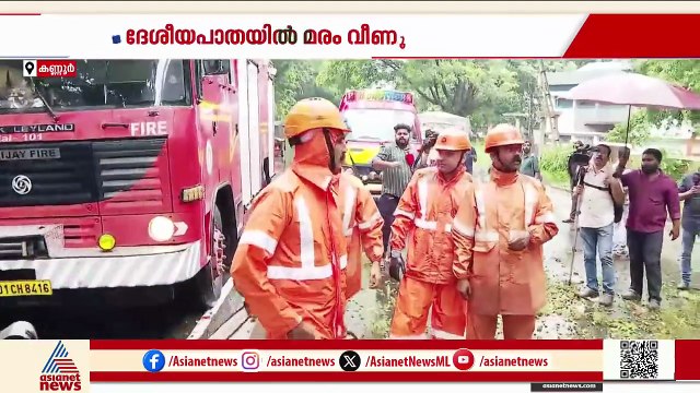കണ്ണൂർ ദേശീയപാതയിൽ മരം വീണു, സെൻട്രൽ ജയിലിന് മുന്നിൽ ഗതാഗത തടസം