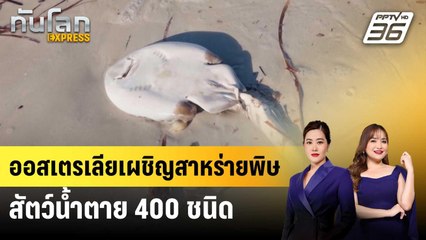 รัฐเซาท์ออสเตรเลียเผชิญสาหร่ายพิษ ทำสัตว์น้ำตายกว่า 400 ชนิด | ทันโลก EXPRESS | 26 ก.ค. 68