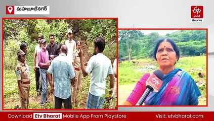 వామ్మో చిరుతలు! - ఆ ప్రాంతంలో నెల రోజులుగా సంచారం - బయటకు రావాలంటేనే హడల్​!!